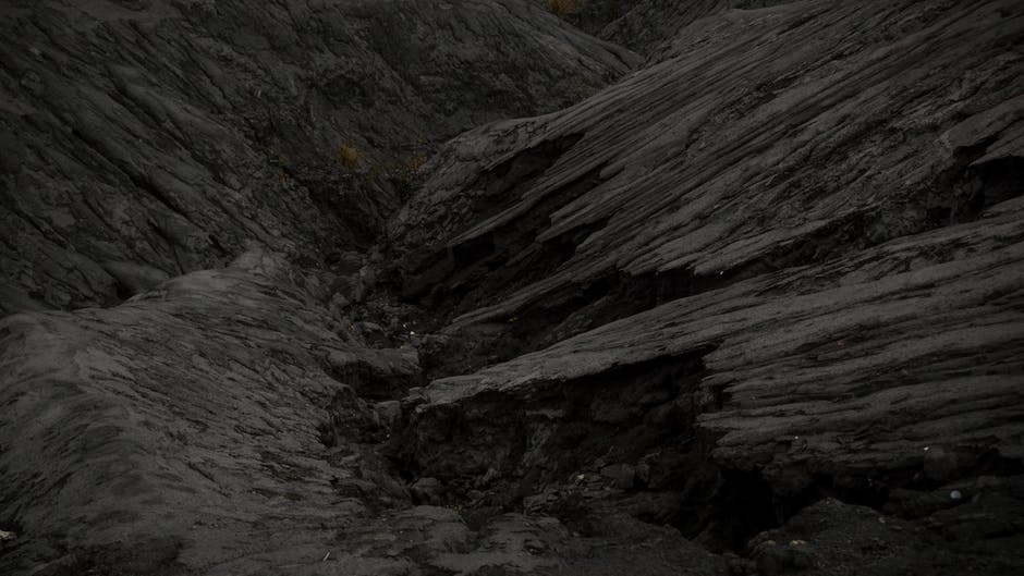 pexels-photo-1292838